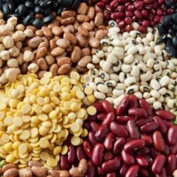 pulses pulses