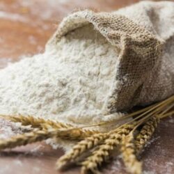 wheat wheat